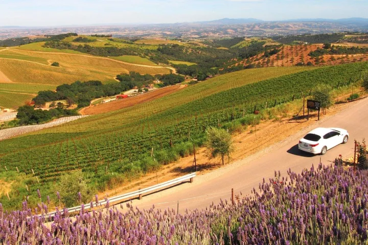 White car driving around wine country